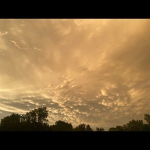 Meet your Posher, Rhiannon